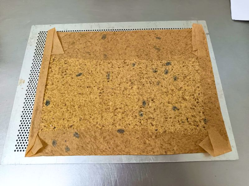 étaler la Pâte crackers à la semoule de féverole