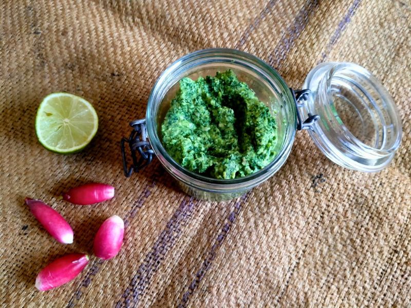 Pesto de fanes de radis et féverole