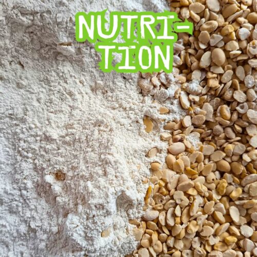 Féverole Bio et farines sans gluten riches en protéines et en fibres