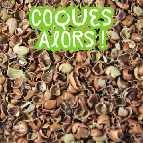 Coques alors ! Gourmandises insolites