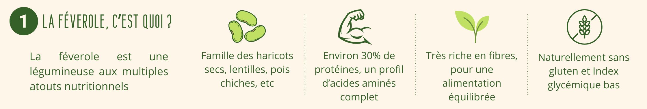La féverole est une légumineuse aux multiples atouts nutritionnels